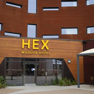 book here